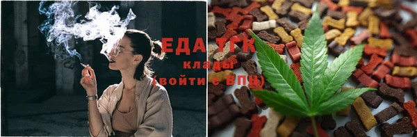 тгк Володарск