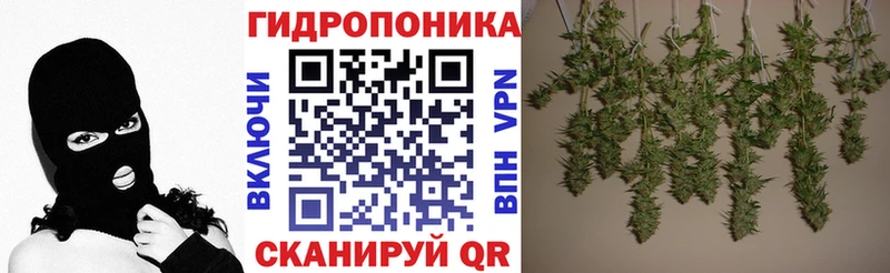 как найти наркотики  Елабуга  Канабис AK-47 